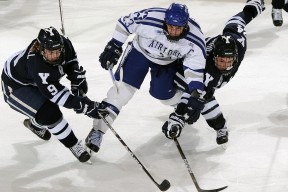 jiuyou入口-深圳佳兆业队员合作默契，取得关键胜利，佳兆业深圳首个项目